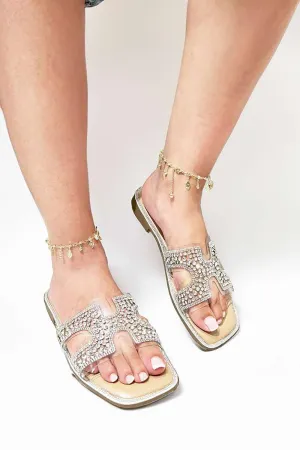 Laria Perspex Diamante Cut Out Sliders in Silver